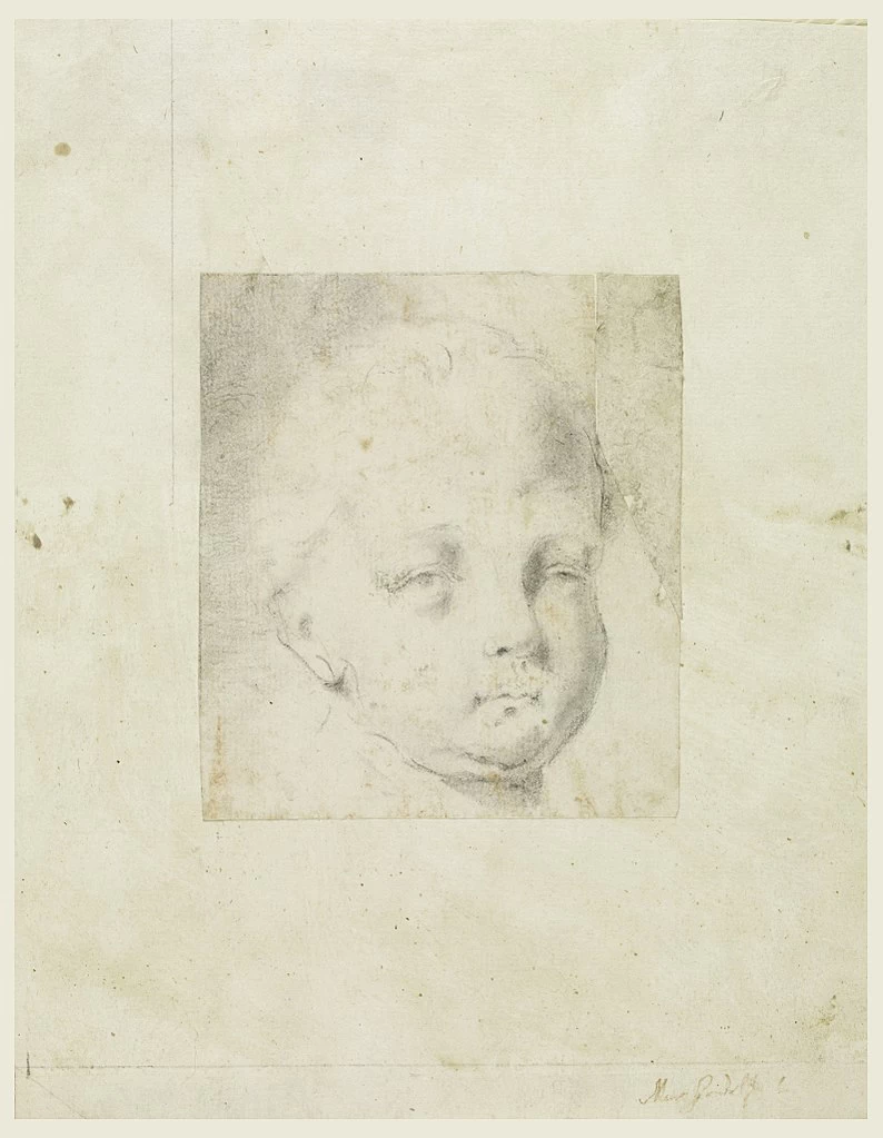 Testa di ragazzo - Cooper Hewitt, Smithsonian Design Museum